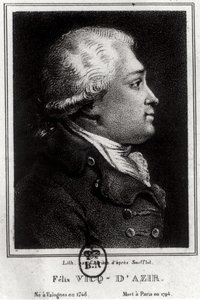 Portrét Felixe Vicqa dAzyra (1748-94) od French School