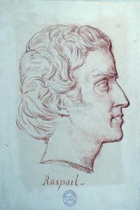 Portrét Francoise Vincenta Raspaila (1794-1878) (červená křída na papíře) od French School