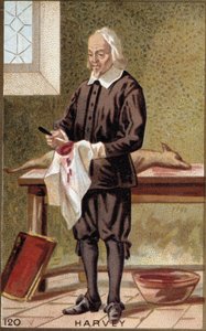 Portrét Williama Harveyho (1578-1657), anglického lékaře. od French School