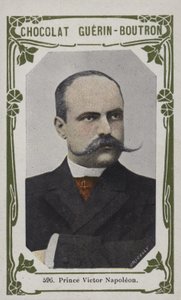 Princ Victor Napoleon (barevná fotografie) od French School