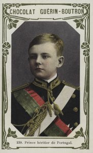 Prince Heritier de Portugal (barevná fotografie) od French School