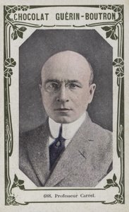 Profesor Carrel (barevné foto) od French School
