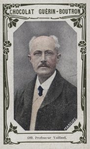 Profesor Valiant (barevné foto) od French School
