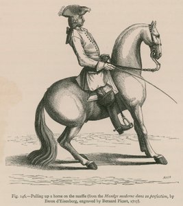 Tahání koně na Snaffle (z Manege moderne dans sa perfection, od barona dEisenberga, vyryto Bernardem Picartem, 1727) od French School