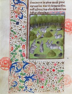 Rabbit Warren, z Livre de la Chasse od Gastona Phebuse de Foix (1331-91) od French School