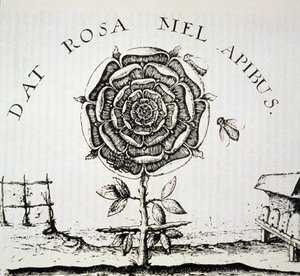 Rosekruciánská alegorie, kopie rytiny od Johanna Theodora de Bry (kolem roku 1598), použitá v Historii magie, publikované koncem 19. století od French School