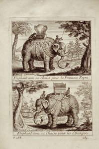 Královští sloni, z knihy Guy Tacharda Voyage du Siam des Peres Jesuites, 1688. od French School