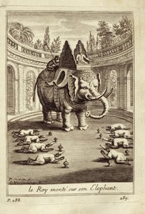 Královští sloni, z knihy Guy Tacharda Voyage du Siam des Peres Jesuites, 1688. od French School