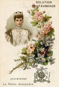 Řešení Obchodní karta Pautauberge, Alexandra z Dánska od French School