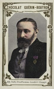 Sully-Prudhomme, Francouzská akademie (barevné foto) od French School