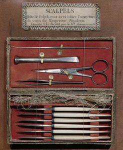 Chirurgické nástroje používané doktorem Antommarchim při pitvě císaře Napoleona I. (1769-1821) od French School