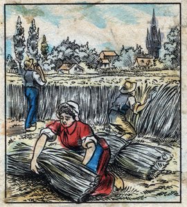 Textil, len: zemědělství. Sbírá prádlo, které je složeno v botě, aby bylo suché. Rytina. Epinal imaging koncem 19. století. od French School