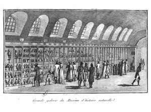 Velká galerie Přírodovědného muzea v Paříži od French School