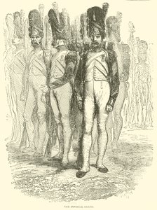 Imperial Guard (rytina) od French School