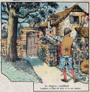 Žalud a dýně. Bajky Jean de La Fontaine (1621-95). Vyobrazení Epinalu z konce 19. století. od French School