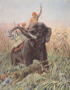 Hon na tygra, Indie (barevná litografie) od French School