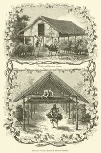 Tilembar nebo Persian Magnanerie (rytina) od French School