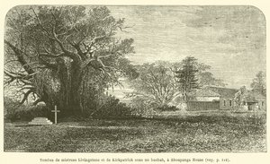 Hroby paní Livingstoneové a Kirkpatricka pod baobabem v domě Shoupanga (rytina) od French School