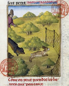 Past na zajíce a lovecké psy - v „“ Book of Hunting od Gastona Phoebuse, hraběte z Foix, Lord of Bearn““ od French School
