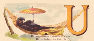U: Líný, pták ostrovů! Lenivý, zbytečný! od French School