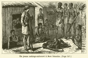 Mladý bělolící nshiego-mbouve (rytina) od French School