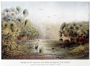 Průchod horním Nilem s papyrem a rákosovým porostem. od French School