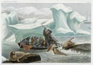Lov na mrože – v „“ Le monde de la mer “ od Alfreda Fredola, Hachette, Paříž od French School