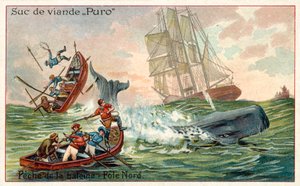Lov velryb v Arktidě (chromolitho) od French School