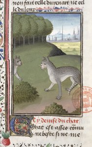 Divoké kočky, z knihy Livre de la Chasse od Gastona Phebuse de Foix (1331-91) od French School