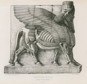 Okřídlený býk, z Khorsabad, Louvre od French School