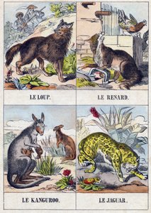 Vlk; Liška; Klokan ; Jaguár. Rytina v „Buffon Alphabet des Animaux". 3. série N 1. Imaging of Epinal, Epinal, konec 19. století. 16 stran. Rozměr: 28x21cm od French School