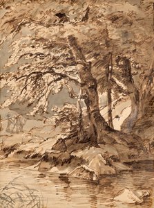 studie stromů od Friedrich August Mathias Gauermann