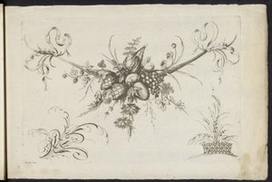 Festoen van vruchten, bladeren en bloemen Různé nové věnce květin a ovoce (název série) od Friedrich Jacob Morisson