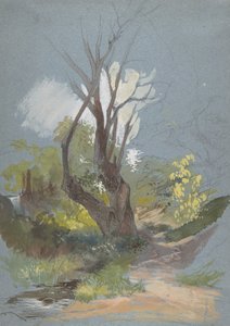 Horská cesta se stromem, 1820-78. od Friedrich Nerly