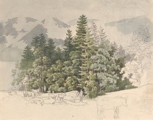 Alpská krajina