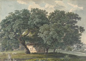 Italská krajina se stromy recto, 1815-21.