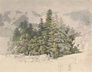Alpská krajina (kvaš nad grafitem)