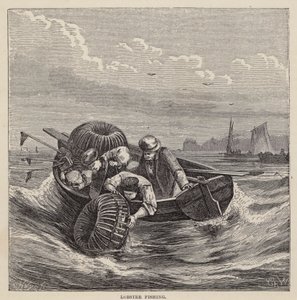 Lov humrů (barevné rytí) od Friedrich Specht