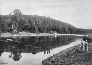 Cliefden Woods, c1896 od Frith and Co
