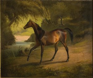 Antonia od Fritz Thomsen