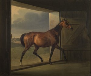 Jutta od Fritz Thomsen