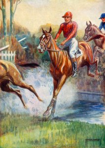 Ilustrace pro Black Beauty (barevné lito)