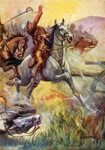 Ilustrace pro Black Beauty (barevné lito)
