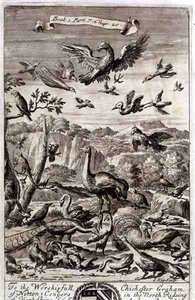 A Variety of Birds, ilustrace z knihy 1, část 7, kapitola 20 „Principy filozofie“ od Anthonyho Le Granda, vyryl Johannes Kip (1652/3-1722) od G Freman