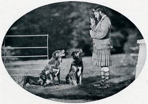 Pan Francis Clark, The Queens Gillie, se třemi jejími oblíbenými psy, c1899, 1901