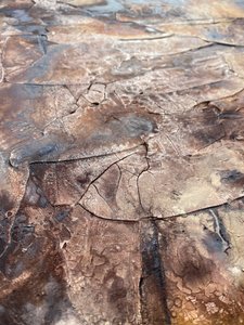  od Gabriela Aleksandra Szuba