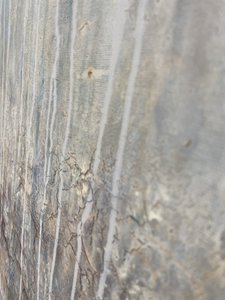  od Gabriela Aleksandra Szuba