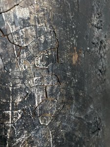  od Gabriela Aleksandra Szuba