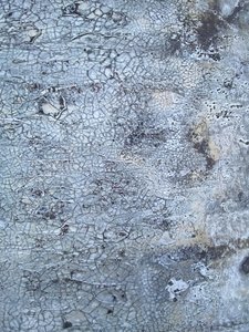  od Gabriela Aleksandra Szuba