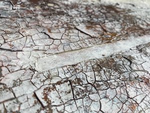  od Gabriela Aleksandra Szuba